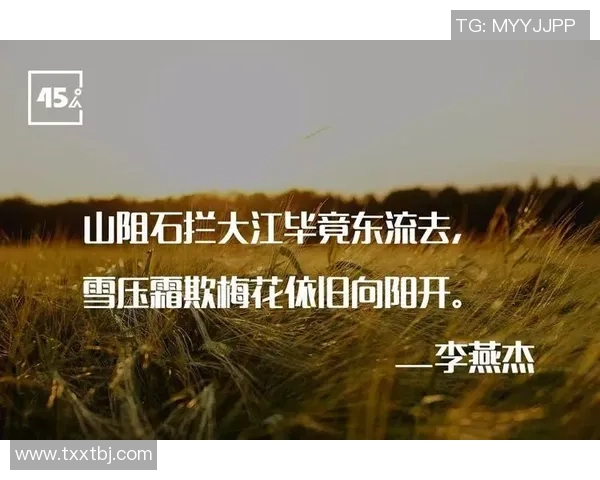 古代足球明星的传奇人生与离世之谜探讨