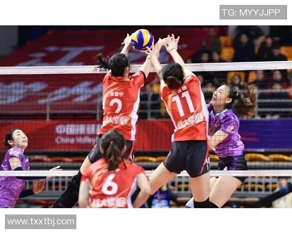 杭州排球队战术引发热议球迷与专家观点大碰撞